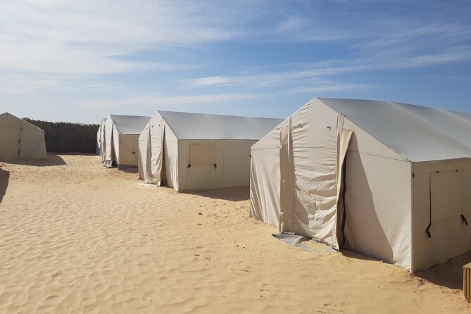 2-Day Tunisia Sahara Desert Camel Trek from Douz - Key Highlights You’ll Actually Care About