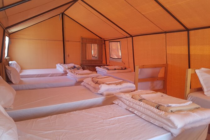 2-Day Tunisia Sahara Desert Camel Trek from Douz - Day 1 Camp Night: Food, Firelight, and Stars