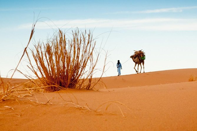 2-Day Zagora Tour from Marrakech Including the Atlas Mountains, Camel Trek and Desert Camp - First morning in Marrakech: the 7:00 am start and the High Atlas push