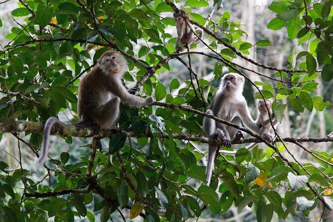 2 Days 1 Night Ethical Jungle Trekking - What to pack for a jungle trek + riverside camp