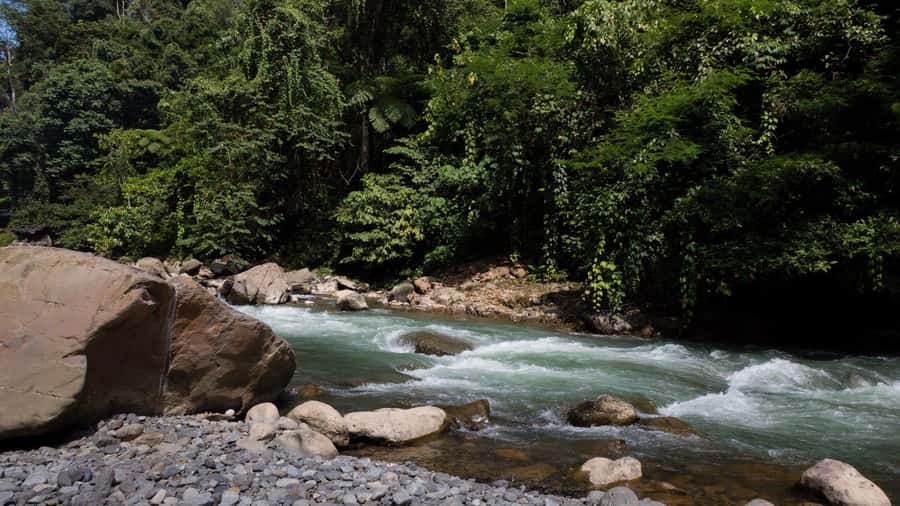 2 Days 1 Night Orangutan Trek Bukit Lawang - The Bohorok River camp night: food, games, and sleep you can actually enjoy