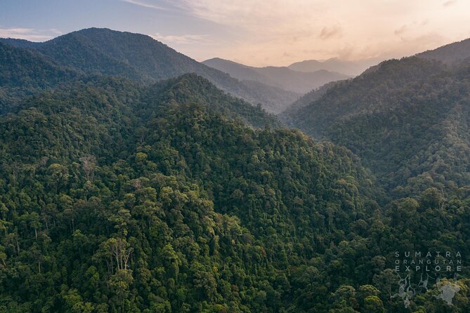 2 Days and 1 Night Ethical Jungle Trek - Where this trek really happens: Medan to Gunung Leuser, in the real rainforest