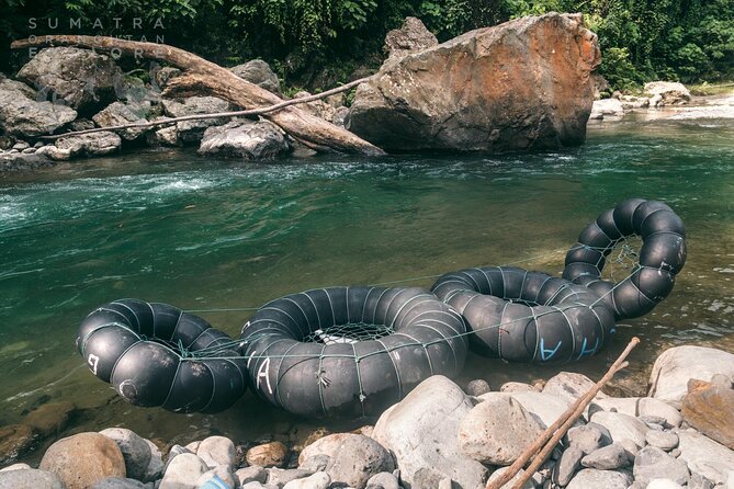 2 Days and 1 Night Ethical Jungle Trek - Day 2: Breakfast in the forest, deeper trekking, then tubing back