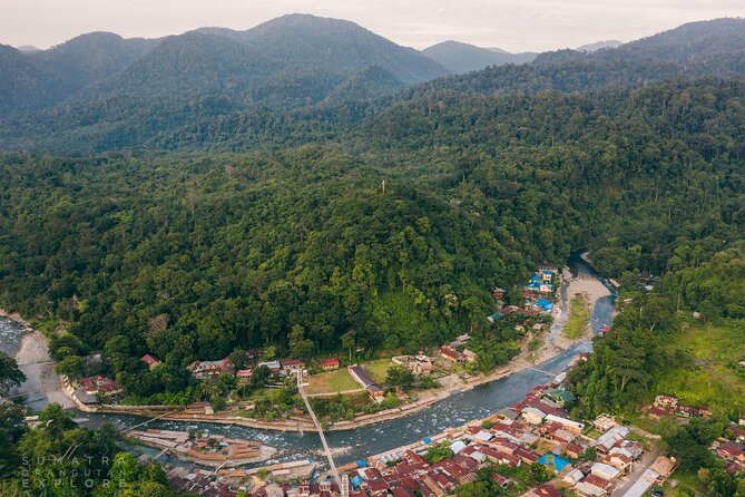 2 Days and 1 Night Ethical Jungle Trek - Wildlife expectations: orangutans, monkeys, and the art of seeing movement