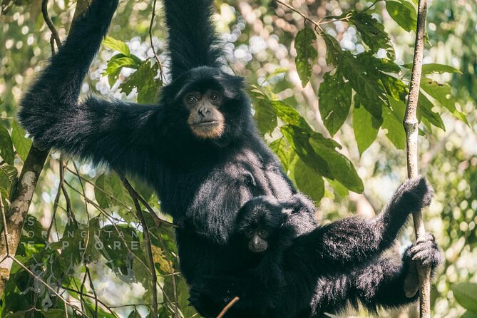 2 Days and 1 Night Ethical Jungle Trek - Price and value: is $146.62 a good deal for two days in the rainforest?