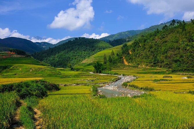 2 days authentic trekking tour in Sapa ( Homestay - Less touristy ) - Day 1: Ta Phin Village downhill start through pine and terraces
