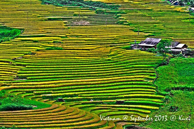2 days authentic trekking tour in Sapa ( Homestay - Less touristy ) - Pickup, private group timing, and how the days flow
