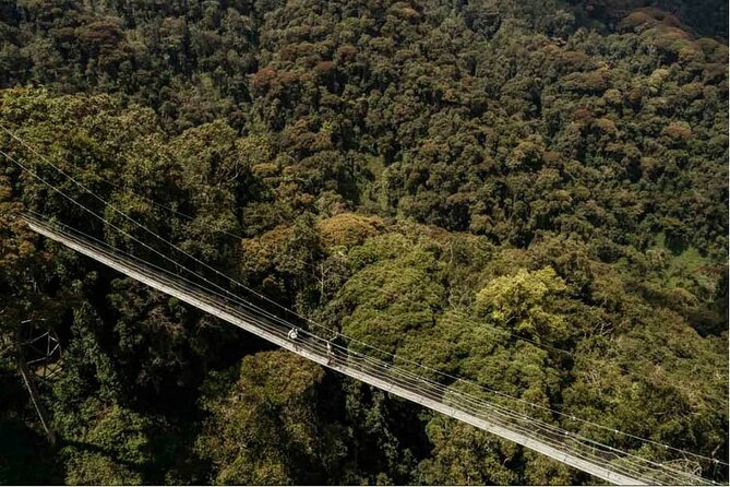 2 Days Chimpanzee trekking & Canopy Walk in Nyungwe National Park - A 2-Day Nyungwe Plan That Actually Makes Sense