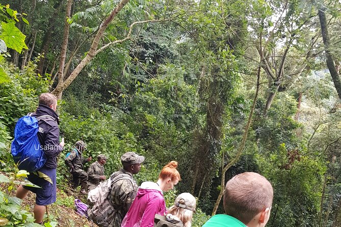 2 Days Chimpanzee trekking & Canopy Walk in Nyungwe National Park - Road Trip From Kigali: Museums, Culture Stops, and Timing
