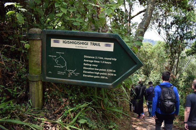 2 Days Chimpanzees trekking Tour and Canopy walk Adventure - Nyungwe National Park: rainforest for chimp trekking and canopy views