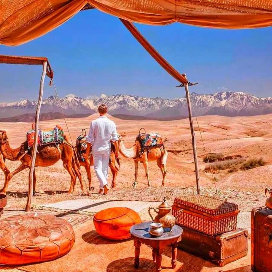 2 Days Desert Agafay and Atlas Mountains Trek From Marrakech - Eating Well in the Atlas and in the Desert Camp