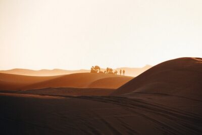 2 Days Desert Private Luxury Couple's Retreat Camel Trek + Quad - Day 1 second segment: that longer camel time together