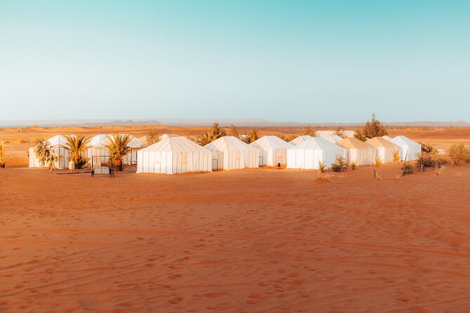 2 Days Desert Private Luxury Couple's Retreat Camel Trek + Quad - The service style: transport, warmth, and good vibes