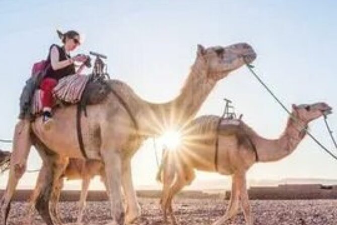 2 Days Desert Tour From Marrakech To Zagora And Camel Trek - Value for Money: Is $106 Really Fair Here?