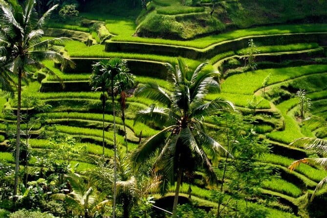 2 Days Mount Batur Sunrise Trekking With Private Ubud Day Tour - Guide Quality and Personal Care: Why People Mention Specific Names