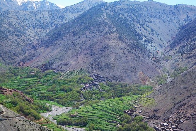 2 days Mount Toubkal Trek from Marrakech - Guides, Mules, and Team Support: What Makes This Value-Based