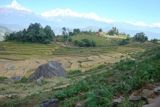 2 Days Panchase Hill Trek from Pokhara - Should You Book This 2-Day Panchase Trek From Pokhara?