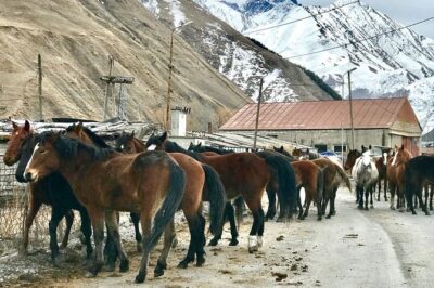 2 Days Private Tour to Kazbegi and Juta Village with Trekking - Gergeti Trinity Church: The Stop That Sets the Mood