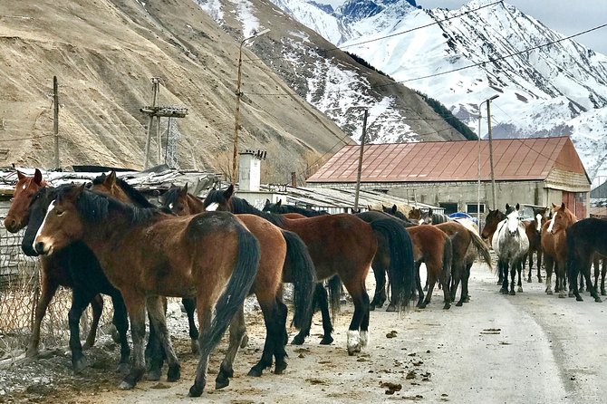 2 Days Private Tour to Kazbegi and Juta Village with Trekking - Gergeti Trinity Church: The Stop That Sets the Mood