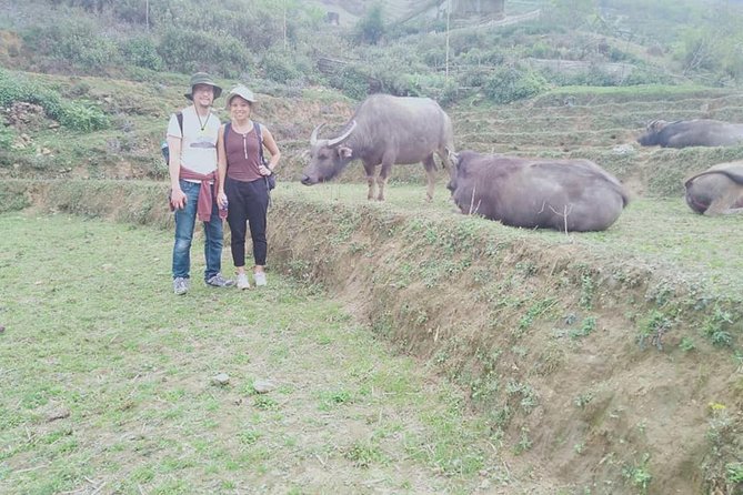 2 days private Wildland Trek in Sapa - Trek reality check: what “strong physical fitness” actually means