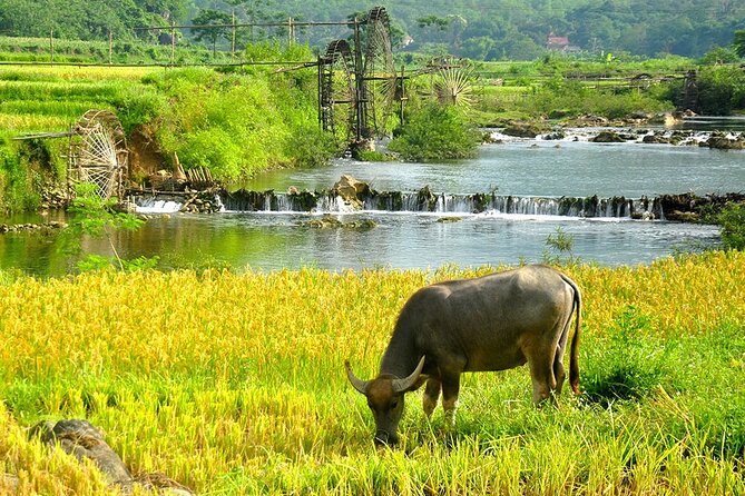 2 Days Pu Luong Offbeat Trekking Best for Mountain Lovers - Day 1 in Pu Luong: Don Village First, Then Caves and Terrace Fields
