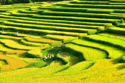 2 Days Pu Luong Offbeat Trekking Best for Mountain Lovers - Day 2: Suspension Bridge, Water Wheels, and Upstream Bamboo Rafting