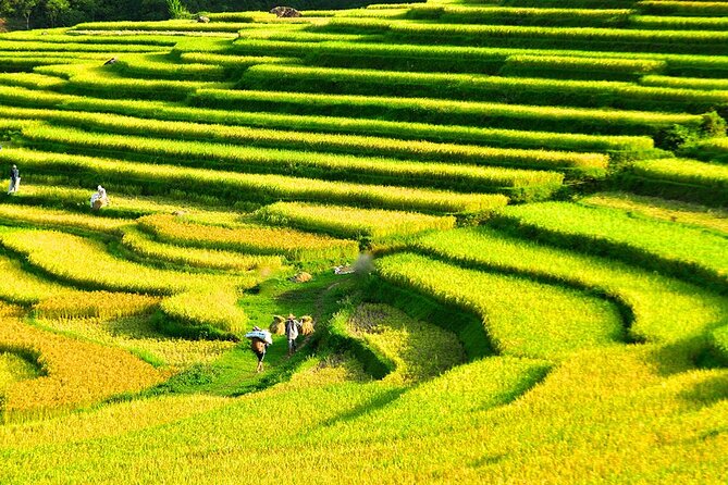 2 Days Pu Luong Offbeat Trekking Best for Mountain Lovers - Day 2: Suspension Bridge, Water Wheels, and Upstream Bamboo Rafting