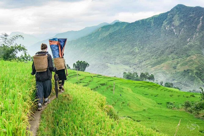 2-Days Sapa Trekking and Overnight in Tavan Village - The Hanoi-to-Sapa Ride: AC Comfort and the One Timing Risk