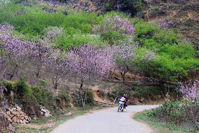 2 Days Sapa Trekking In Cat Cat And Ta Van Village From Hanoi - Getting to Sapa the easy way: Hanoi Old Quarter pickup + modern bus