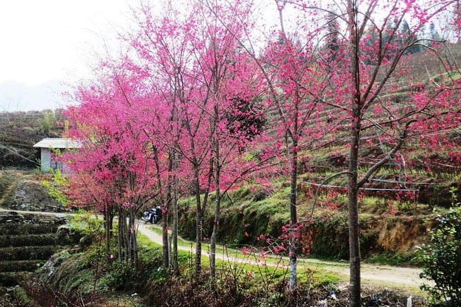 2 Days Sapa Trekking In Cat Cat And Ta Van Village From Hanoi - What to pack for Sapa trekking in this specific 2-day plan