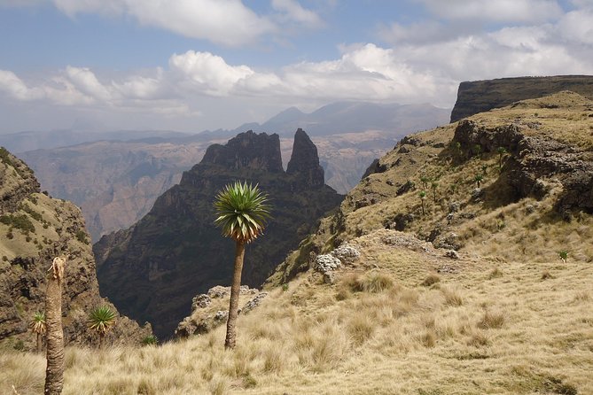 2 Days Simien Mountains Trekking - Transport reality check: the road can be rough, so plan for it