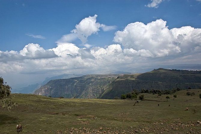 2 Days Simien Mountains Trekking - Day 1: Gondar-to-Debark drive, permits on arrival, and gelada-baboon spotting