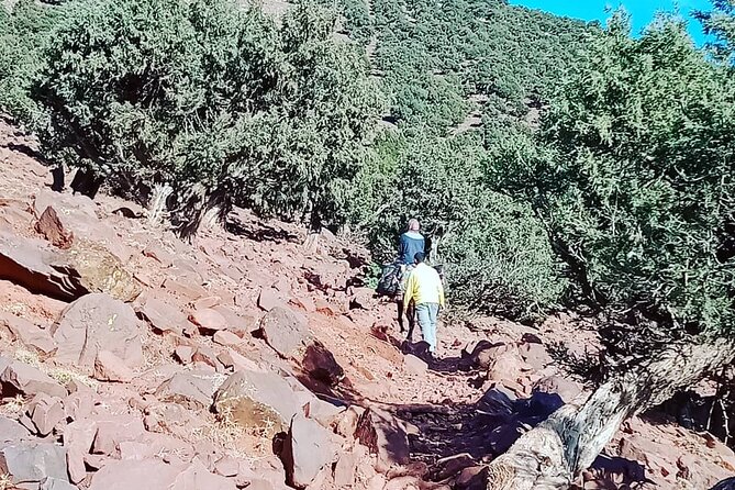 2 Days Trek to Atlas Mountains berber villages - Welcome tea and map talk before the first climb