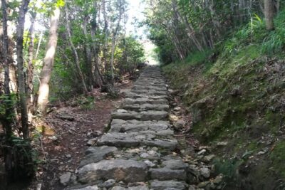 2 Days Trekking - Il Sentiero del Viandante: from Varenna to Colico - Getting oriented in Varenna and how the 2-day flow works