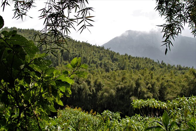 2 days Uganda Gorilla trekking - The Early Start Out of Kigali (And Why Timing Matters)