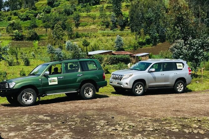 2 days Uganda Gorilla trekking - Rwanda to Uganda Transitions: Why Good Help Matters