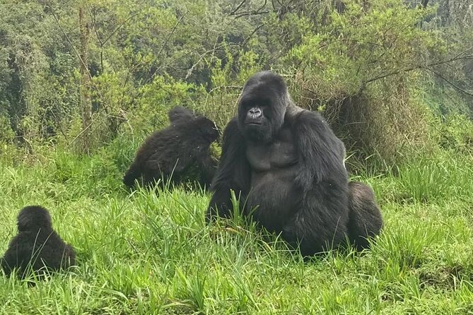 2 days Uganda Gorilla trekking - What to Pack for a Gorilla Day (So You Stay Comfortable)