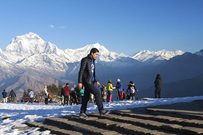 2 Days Very Short Poon Hill Trek from Pokhara - Price and Value: Is $220 Fair for a 2-Day Poon Hill Trek?