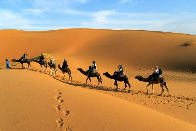 2 Days Zagora Desert Tour from Marrakech, Including Camel Trek and Desert Camp - Key Highlights Worth Clearing Up Before You Go