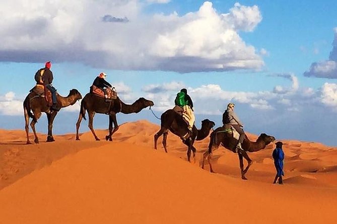 2 night camel trekking in merzouga desert - Key things you’ll notice right away