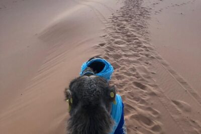 2 night camel trekking in merzouga desert - Day 1: Camel Ride, Sunset Setup, and Berber Music at Camp