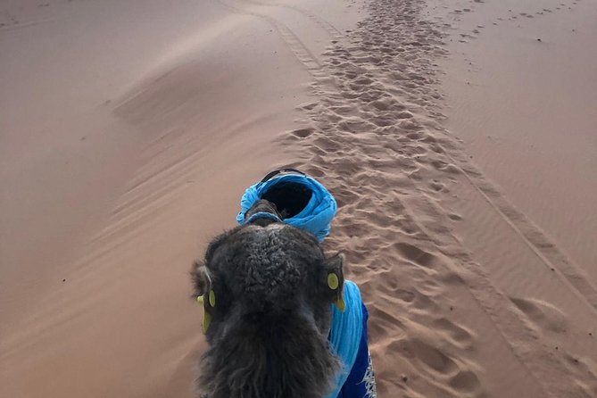 2 night camel trekking in merzouga desert - Day 1: Camel Ride, Sunset Setup, and Berber Music at Camp