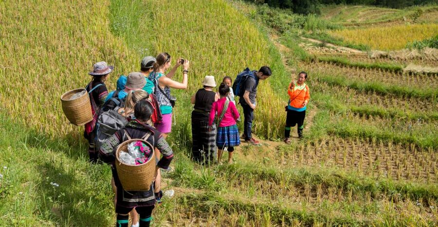 2 Night Lao Chai-Ta Van Homestay- Trekking & Fansipan Visit - Pace and group dynamics: how to set expectations