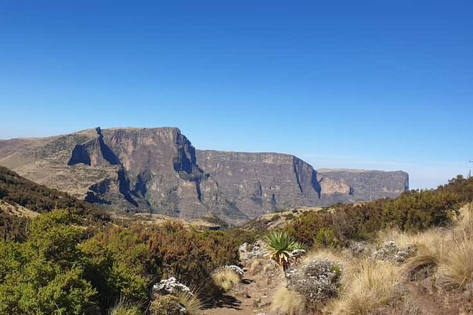 2 Nights 3 Days Trek to Semien Mountain - Gondar to Sankabar: Permits, Park HQ, and Gelada Baboon Odds