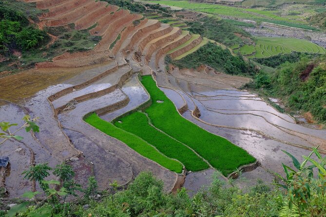 2D1N Buffalo trek by Hmong Sister House and Trekking - Why this buffalo-house trek feels different in Sapa