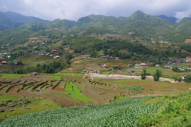 2D1N Buffalo trek by Hmong Sister House and Trekking - Day 2: sunrise start, rice fields, Red Dao village, and the waterfall finale