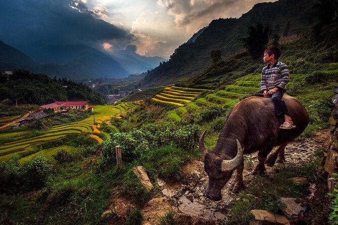 2D1N Buffalo trek by Hmong Sister House and Trekking - Day 1: Hau Thao villages, forest trails, and Zizi’s homestay start