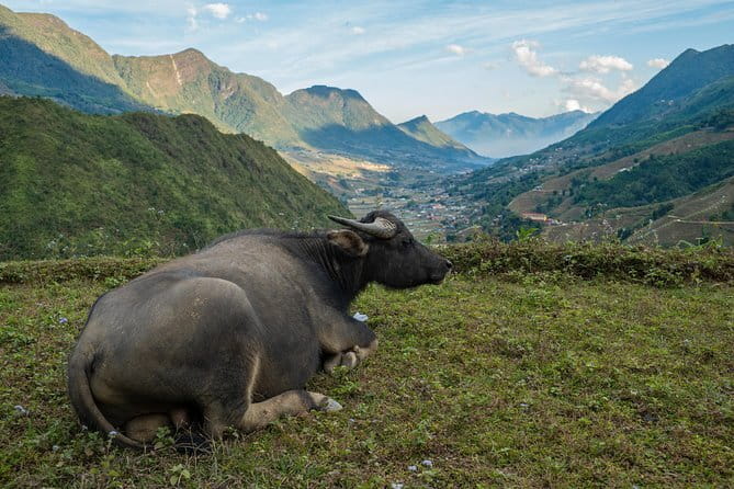 3 Day 2 Night Trek - Day 1: Y Linh Ho, Muong Hoa Stream, Lao Chải, and a Ta Van homestay