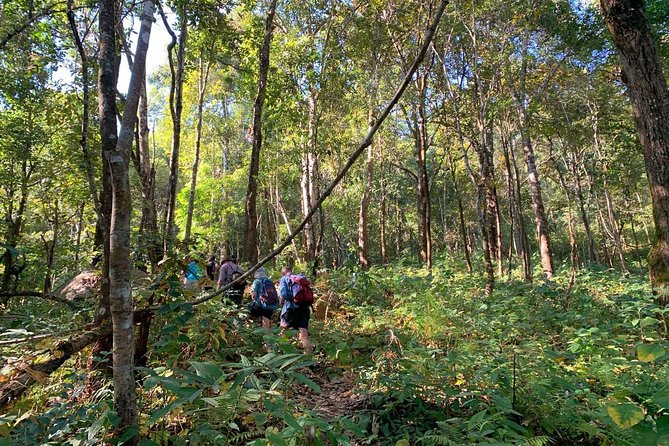 3-Day Chiang Dao Mountain Trek - Day 3: Descent to the Maetang River Valley, Waterfall Break, and Riverside Lunch