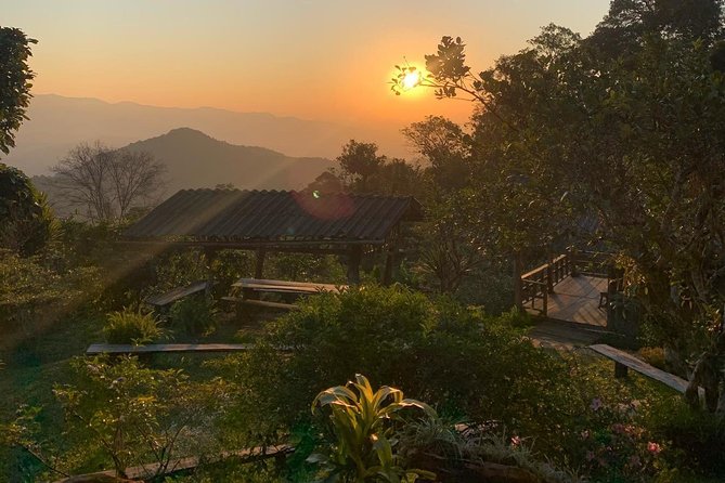 3-Day Chiang Dao Mountain Trek - Homestays and Meals: Local Cooking, Basic Comfort, and Night Sounds